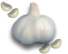 pure white garlic