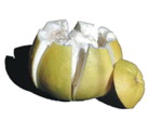 Pomelo